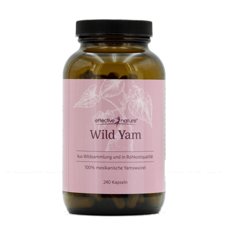 Mexican Wild Yam - yam root 240 capsules