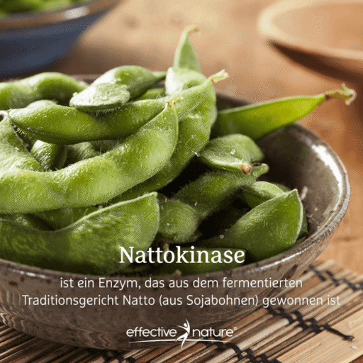 Nattokinase 2000 FU 120 Kapseln - Qualität