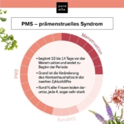 PMS - Vitalstoffkomplex prämenstruelles Syndrom Erklärung